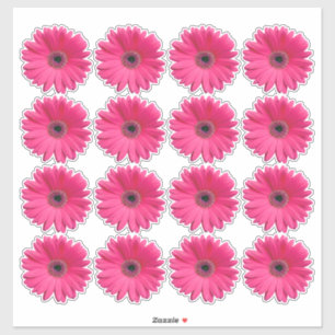 16 adesivos de corte de flor de gerbera rosa