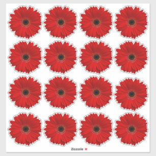 16 Adesivos Kiss-Cut de Flor de Gerbera Vermelha