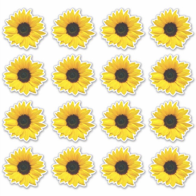 16 Adesivos Kiss-Cut de Flor de Girassol Amarelo (Frente)