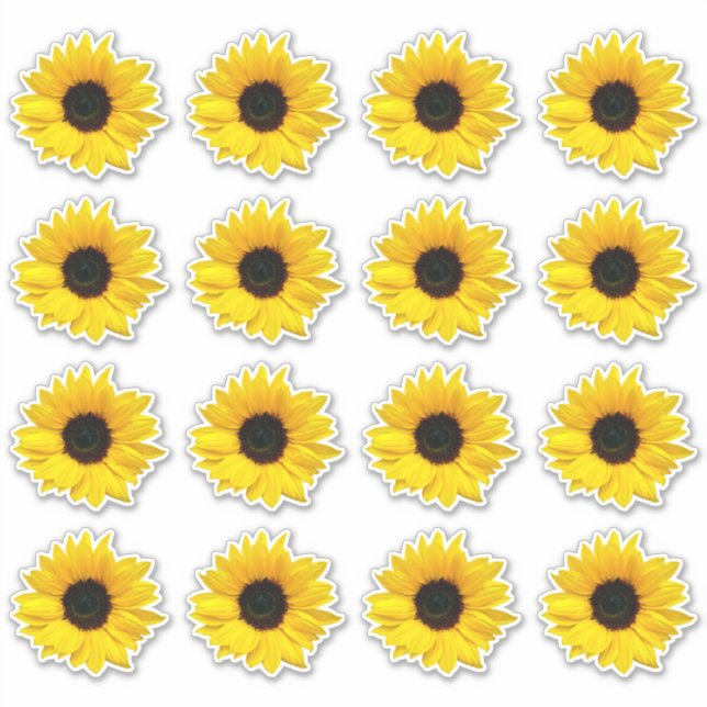 16 Adesivos Recortados de Flor de Girassol Amarelo (Frente)