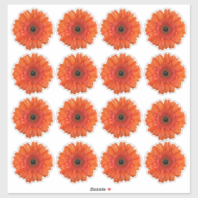 16 adesivos recortados de flores de gerbera laranj (Folha)