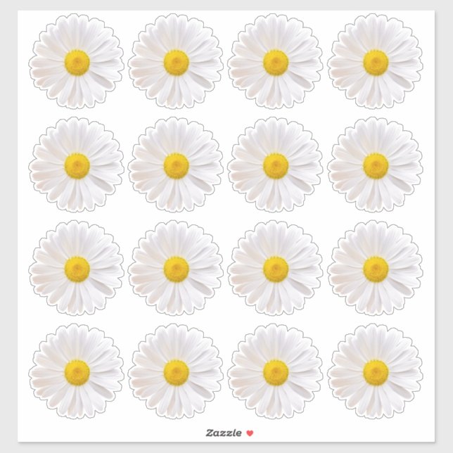 16 Adesivos Shasta Daisy Flower Kiss-Cut (Folha)