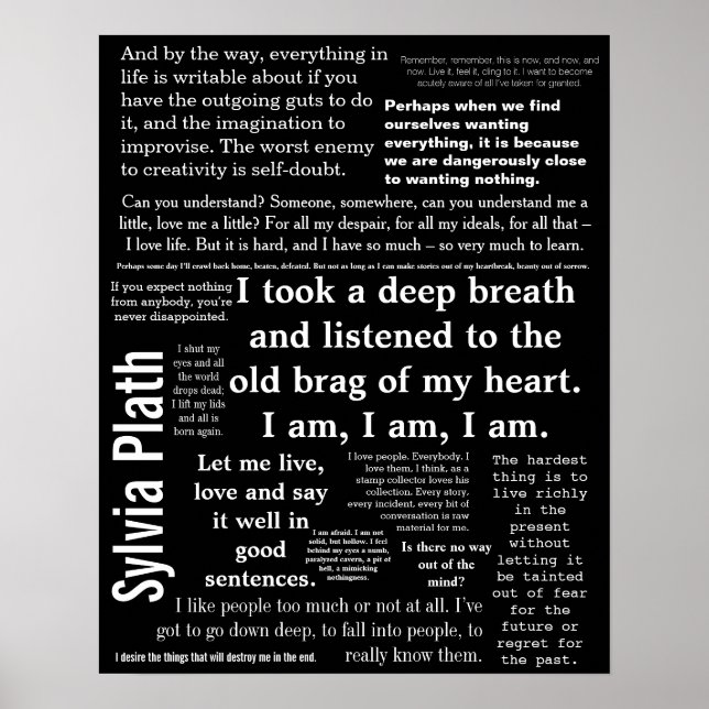 16 pol x 20 pol, Poster de valor (Matte) (Frente)