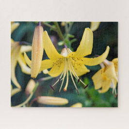 16x20, 520 peças, Quebra-cabeça