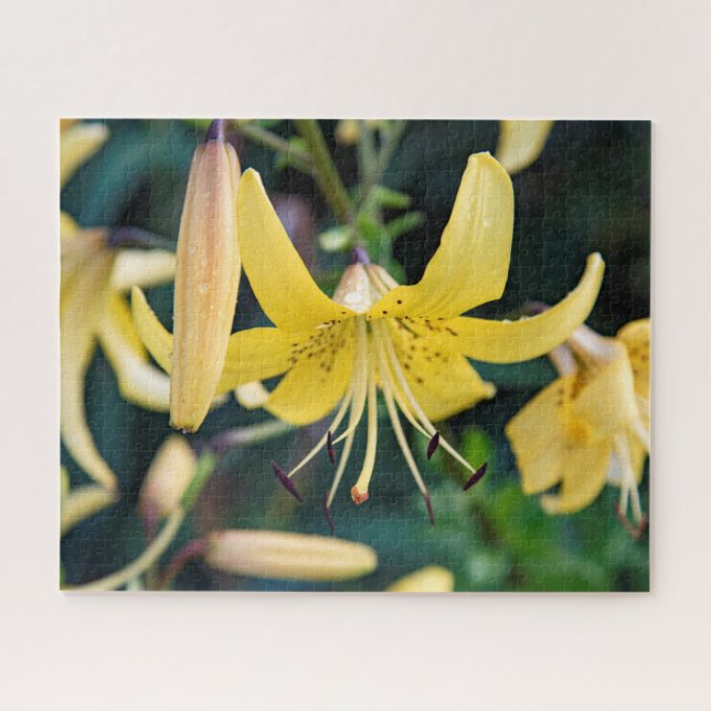 16x20, 520 peças, Quebra-cabeça (Horizontal)