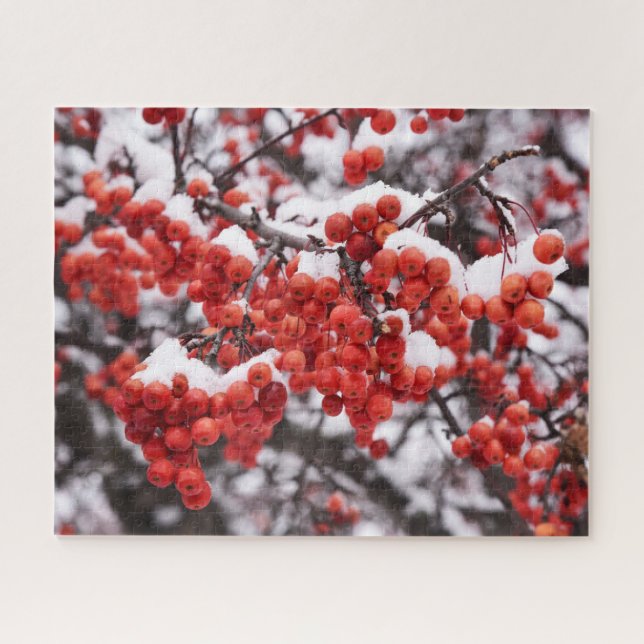 16x20, 520 peças, Quebra-cabeça (Horizontal)