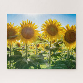 16x20, 520 peças, Quebra-cabeça