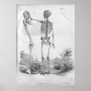 1854 Vintage Anatomy Skeleton Impressão