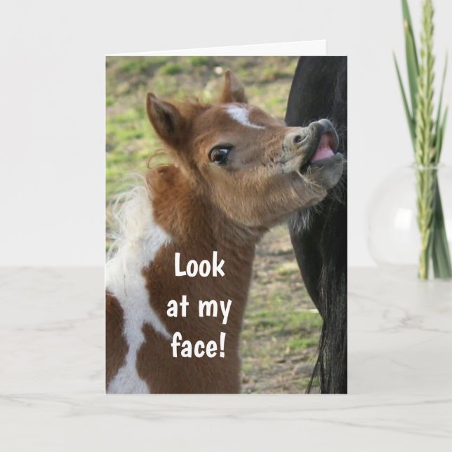 **18.º ANIVERSÁRIO** Cartão de PONY SOBERANTE (Frente)