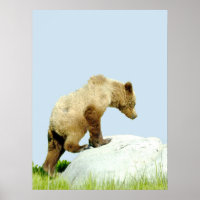 18x24 - Poster Paper (Matte) of grizzly bear cub