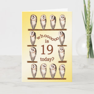 19º aniversário, Cartão Curioso das Corujas.