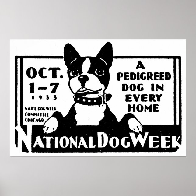 1933 National Dog Week Poster (Frente)