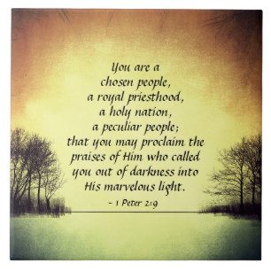 1 2:9 de Peter você é pessoas escolhidas, bíbli