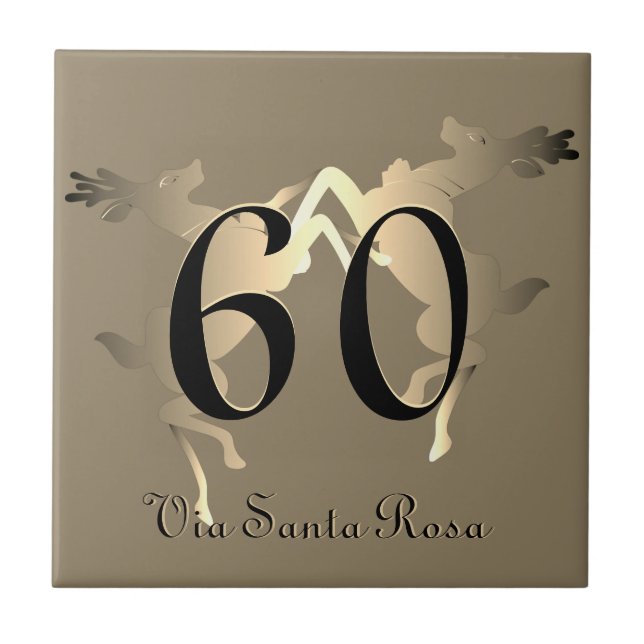 1-2 Dígitos Número da casa da rena e rua (Frente)