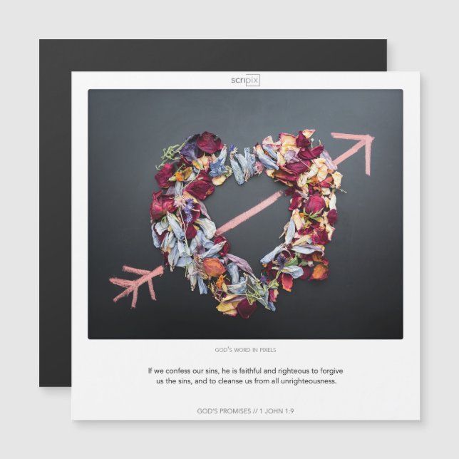 1 Cartão magnético do SCRIPIX para as PROMESSAS de (Frente/Verso)