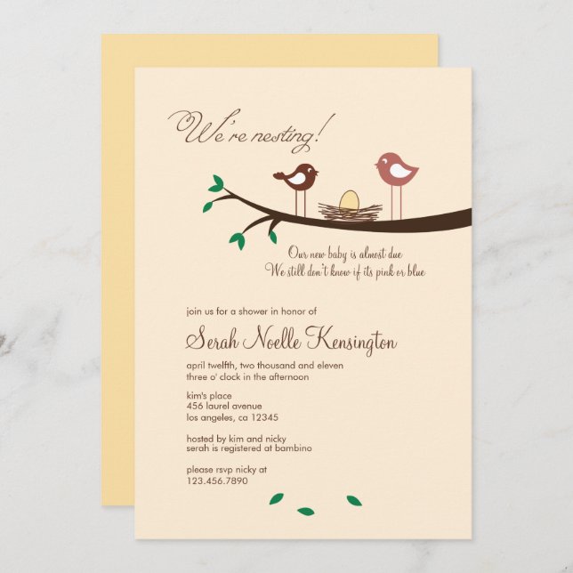 1 Convite Para Chá de fraldas De Aves Para Afinaçã (Frente/Verso)