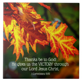 1 Corinthians 15:57 Obrigados sejam a Deus!