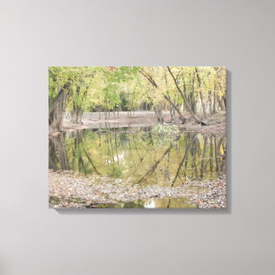 ~ 1 das canvas