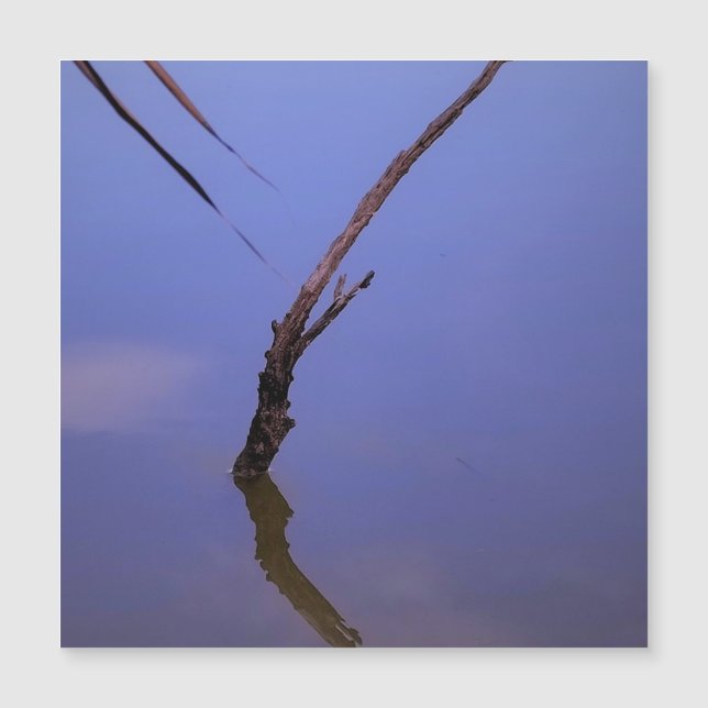 #1-Etang de Scamandre en Camargue. Aimant (Frente)