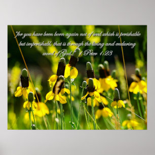 1 Peter 1:23 Poster Inspiracional