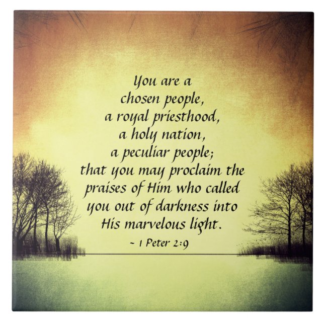 1 Peter 2:9 Você é uma Pessoas escolhida, Bíblia (Frente)
