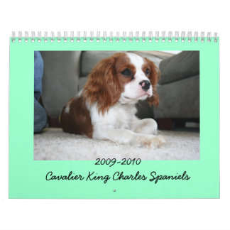 2009-2010 calendário descuidado do Spaniel de rei