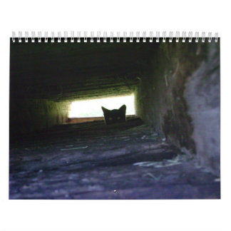 2009 amando o calendário feroz do gato de Feroz