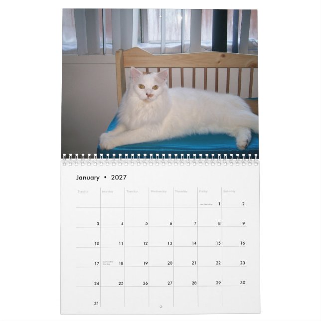 2009 amando o calendário feroz do gato de Feroz (Jan 2027)