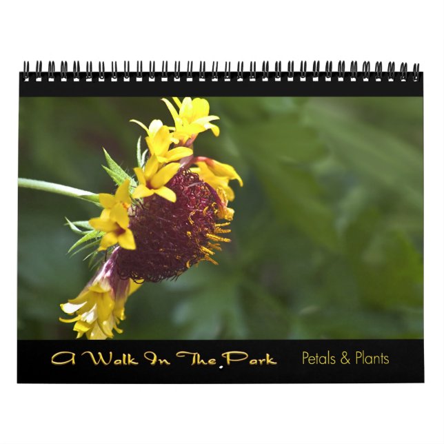 2010 calendário - uma caminhada no parque (Capa)