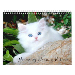 2010 calendários acolhedores dos gatinhos -