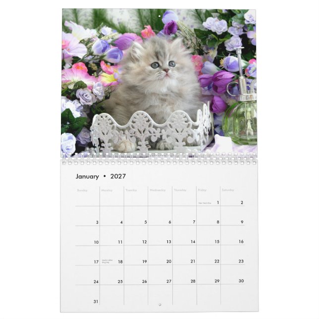 2010 calendários acolhedores dos gatinhos - (Jan 2027)