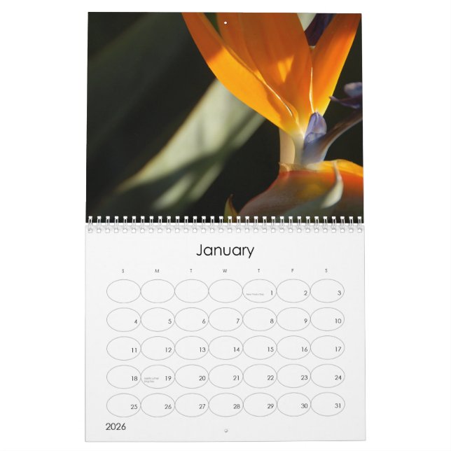 2010 calendários florais (Jan 2026)