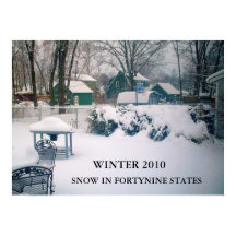 2010, NEVE EM FORTININE ESTADOS poster
