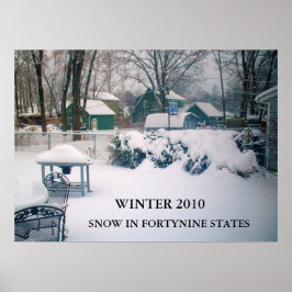 2010, NEVE EM FORTININE ESTADOS poster
