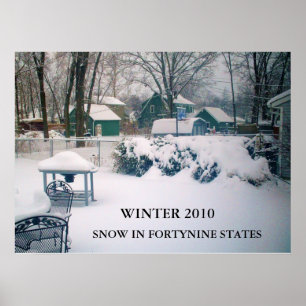 2010, NEVE EM FORTYNINE STATE poster