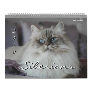 2010 Siberianos Cats & Kittens Calendário 2