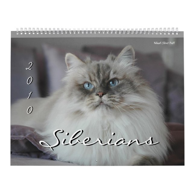 2010 Siberianos Cats & Kittens Calendário 2 (Capa)