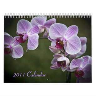 2011 calendário - flores