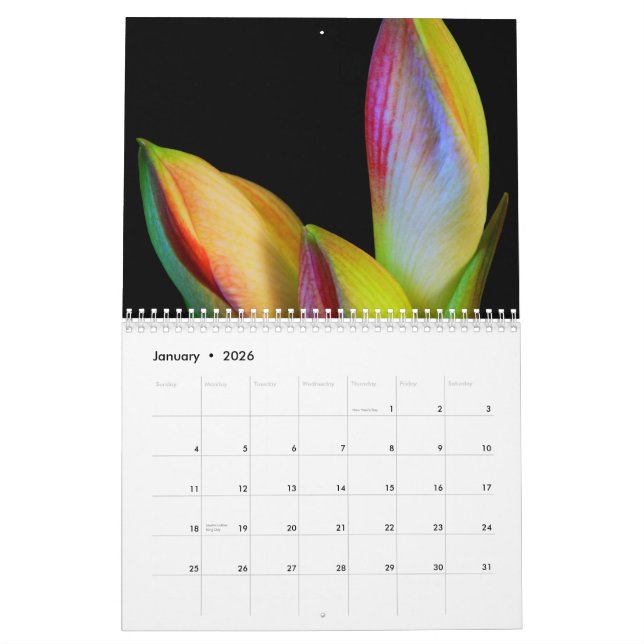 2011 calendário - flores (Jan 2026)