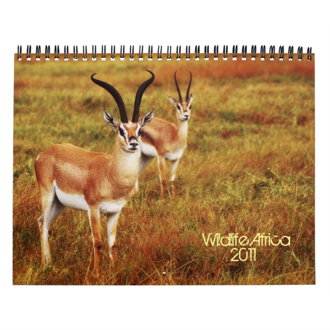 2011 calendários - animais selvagens África (Capa)