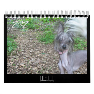 2012 calendário para cães sem pêlos