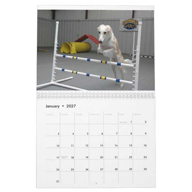 2012 Windhounds macios no calendário da ação (Jan 2027)