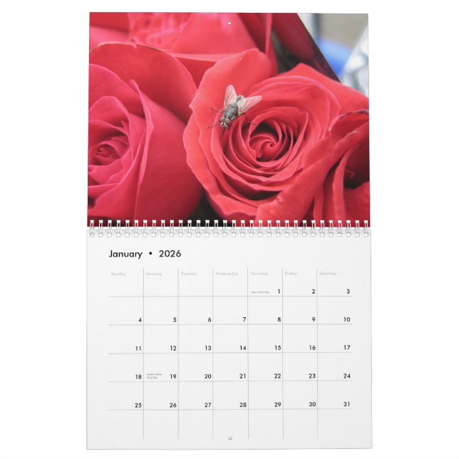 2013-14 calendário dos 12 meses do amante do (Jan 2026)