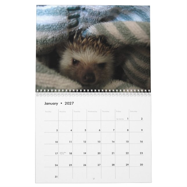 2013 calendário 2 (Jan 2027)
