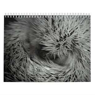 2013 calendário 3