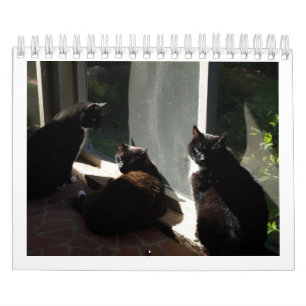 2013 calendário - cinco multa Felines