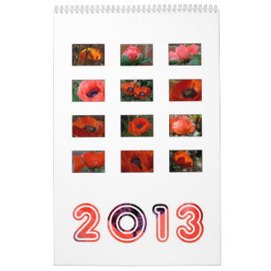 2013 - calendário da papoila