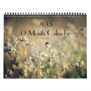 2013 calendário de 12 meses