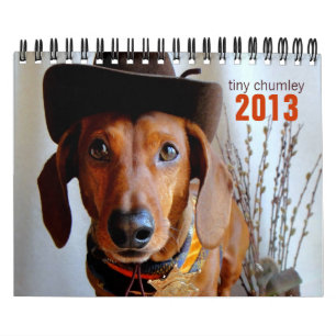 2013 calendário do Dachshund - chumley minúsculo