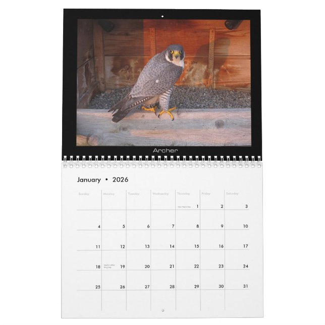 2013 calendário - imagens principais da came (Jan 2026)